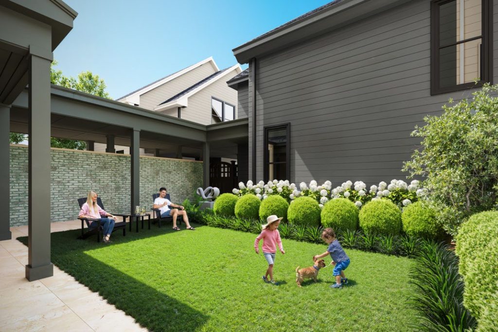 Sunny Backyard